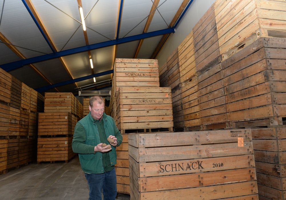 EDEKA Hetzel Lieferant kartoffel Lorenzen_3