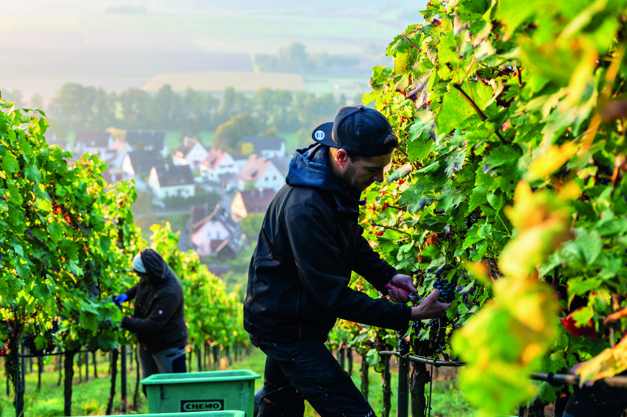 E Hetzel Lieferant Cleebronn Güglingen_MARLON FRIED_2