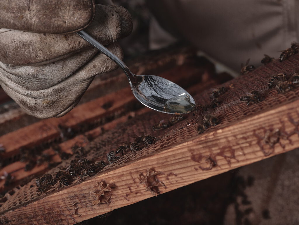 E Hetzel Lieferant Haithabu Honig (2)