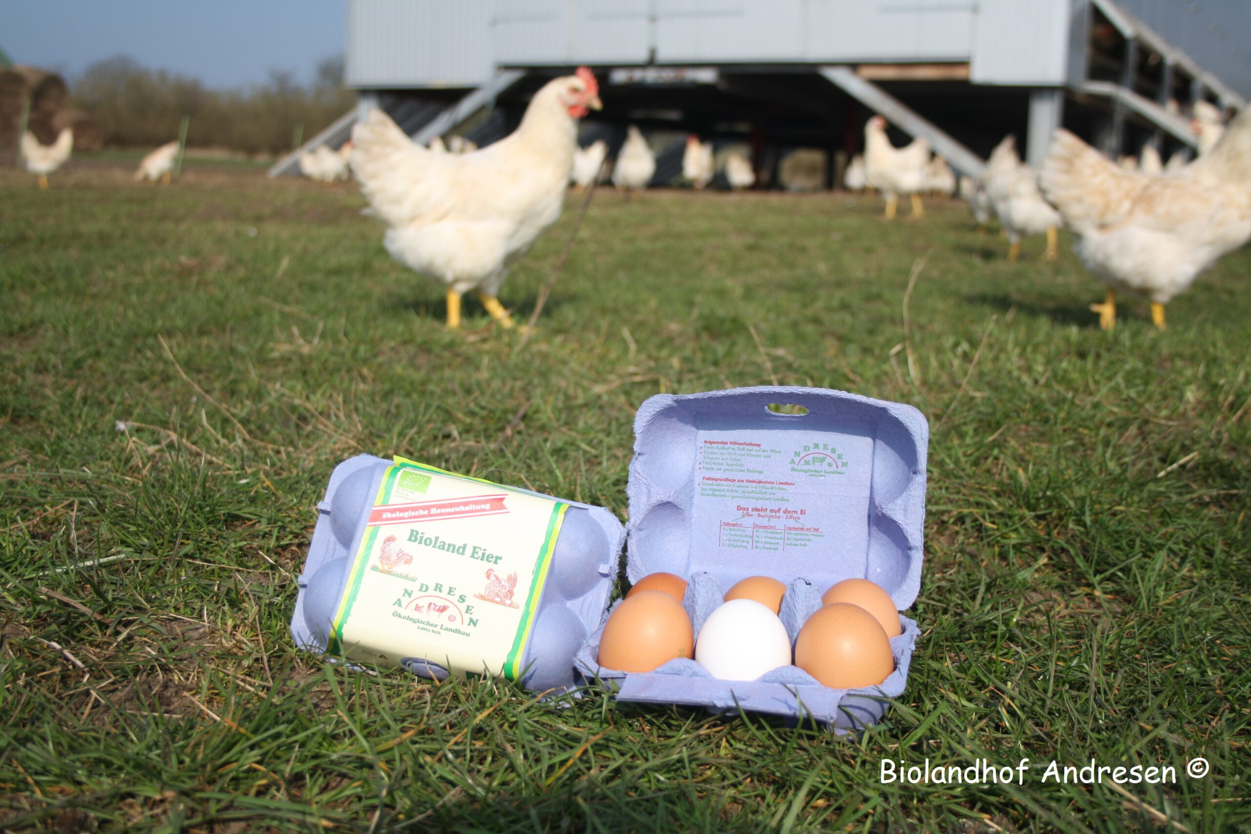 E Hetzel Lieferant Hof Andresen Eier