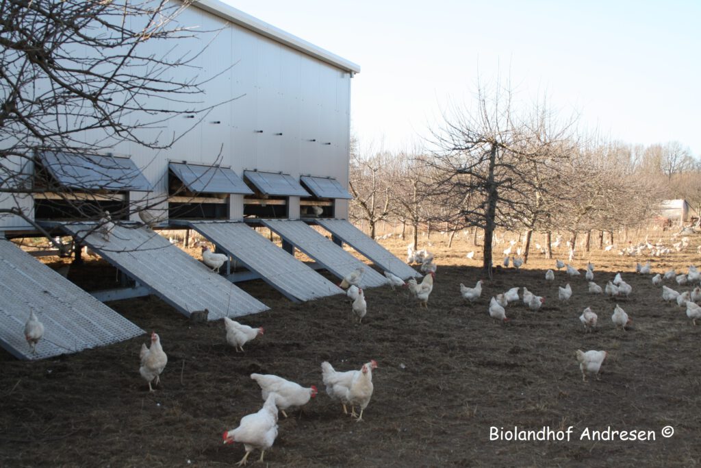 E Hetzel Lieferant Hof Andersen ImWinter