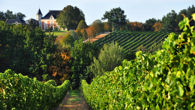 E Hetzel Lieferant Picon Winzerei (2)