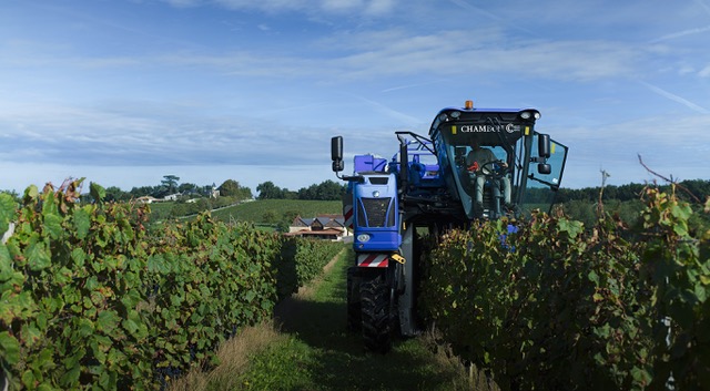E Hetzel Lieferant Picon Winzerei (5)
