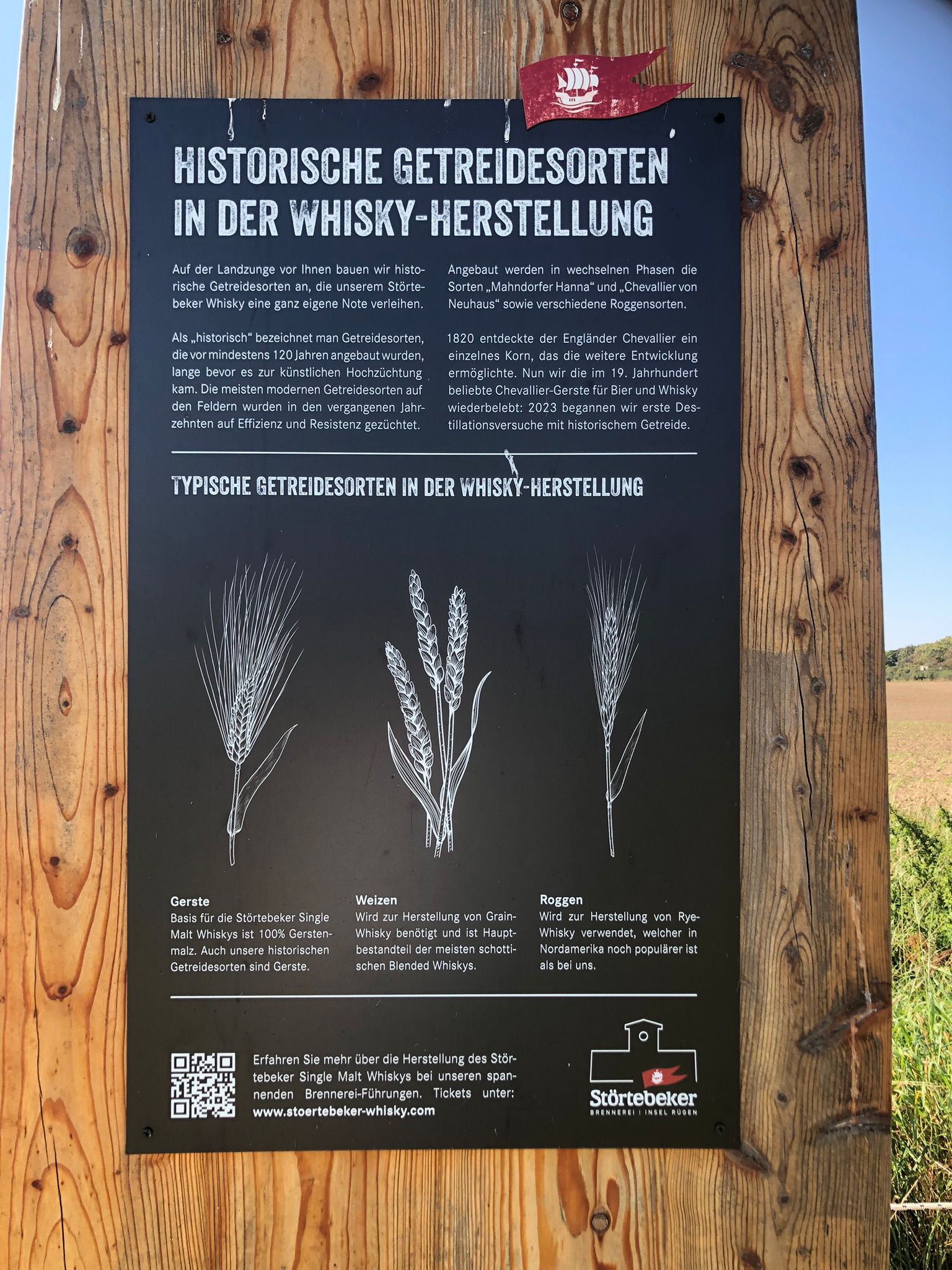 E Hetzel Whisky Gerste (2)