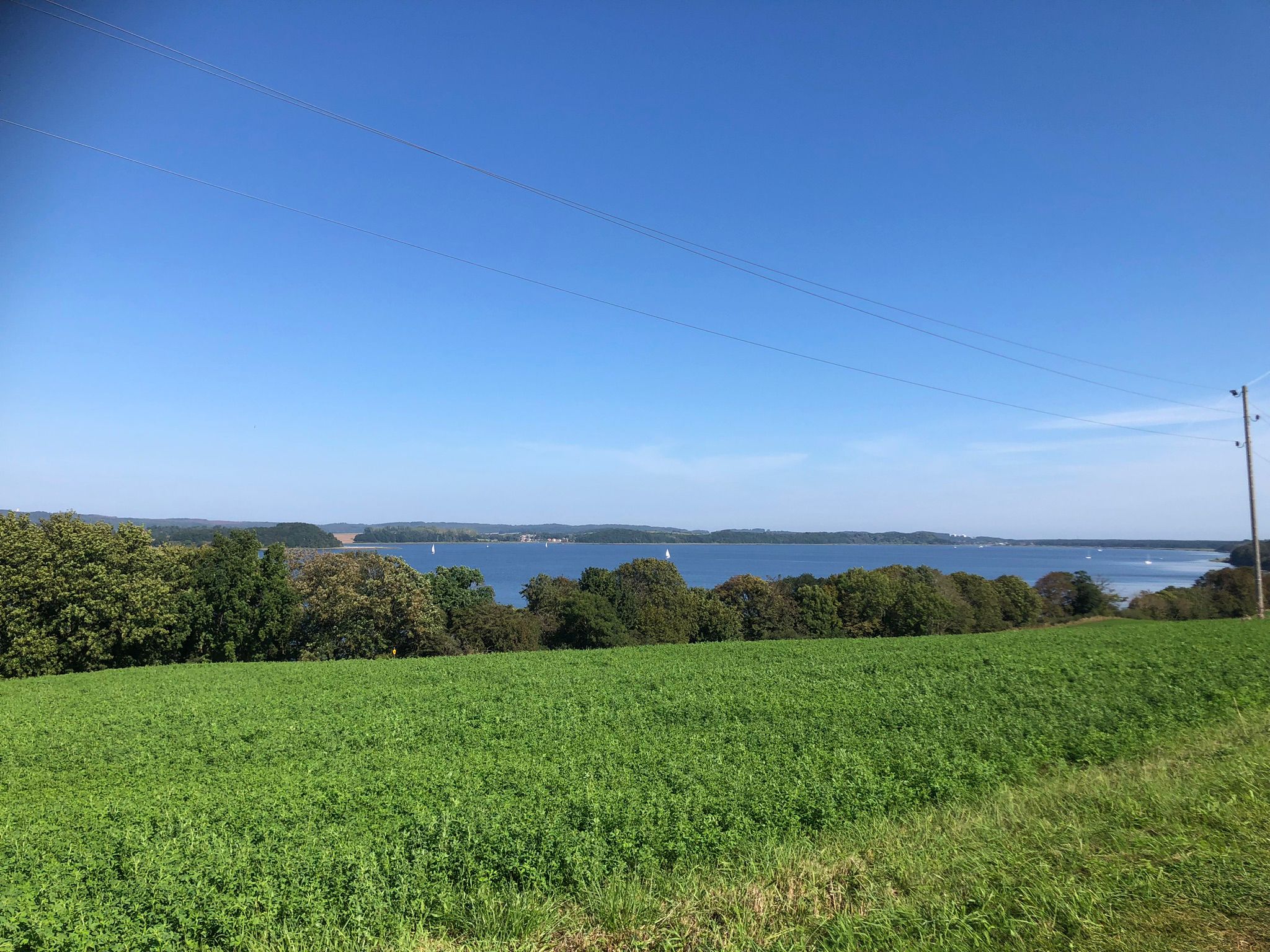 E hetzel Whiskey Besch Sommer 2022 Alt Reddevitz