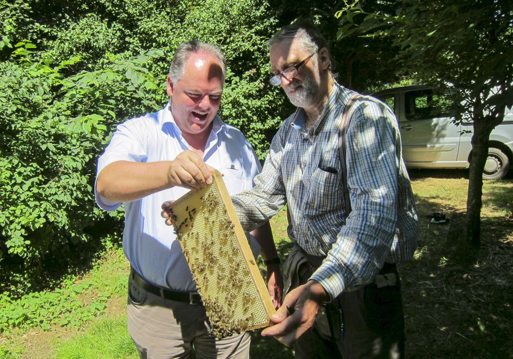 EDEKA Hetzel Lieferant Honig von Harald Jazdzejewski_2