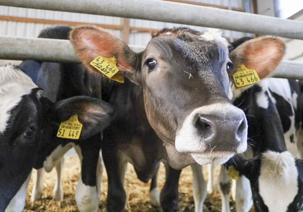 E Hetzel Liferant Backenholzer Hof_2