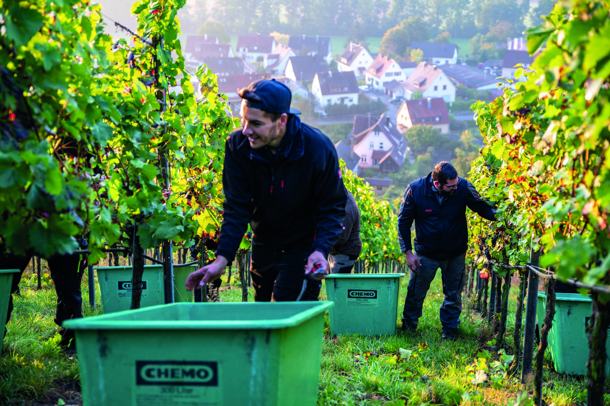 E Hetzel Lieferant Cleebronn Güglingen_Marlon fried