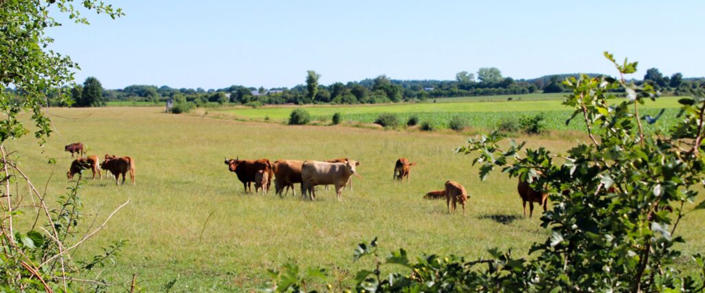 E Hetzel Lieferant Bunde Wischen_20