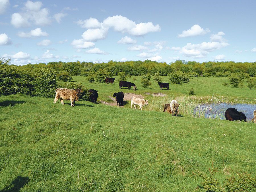 EDEKA Hetzel Lieferant Bunde Wischen_3